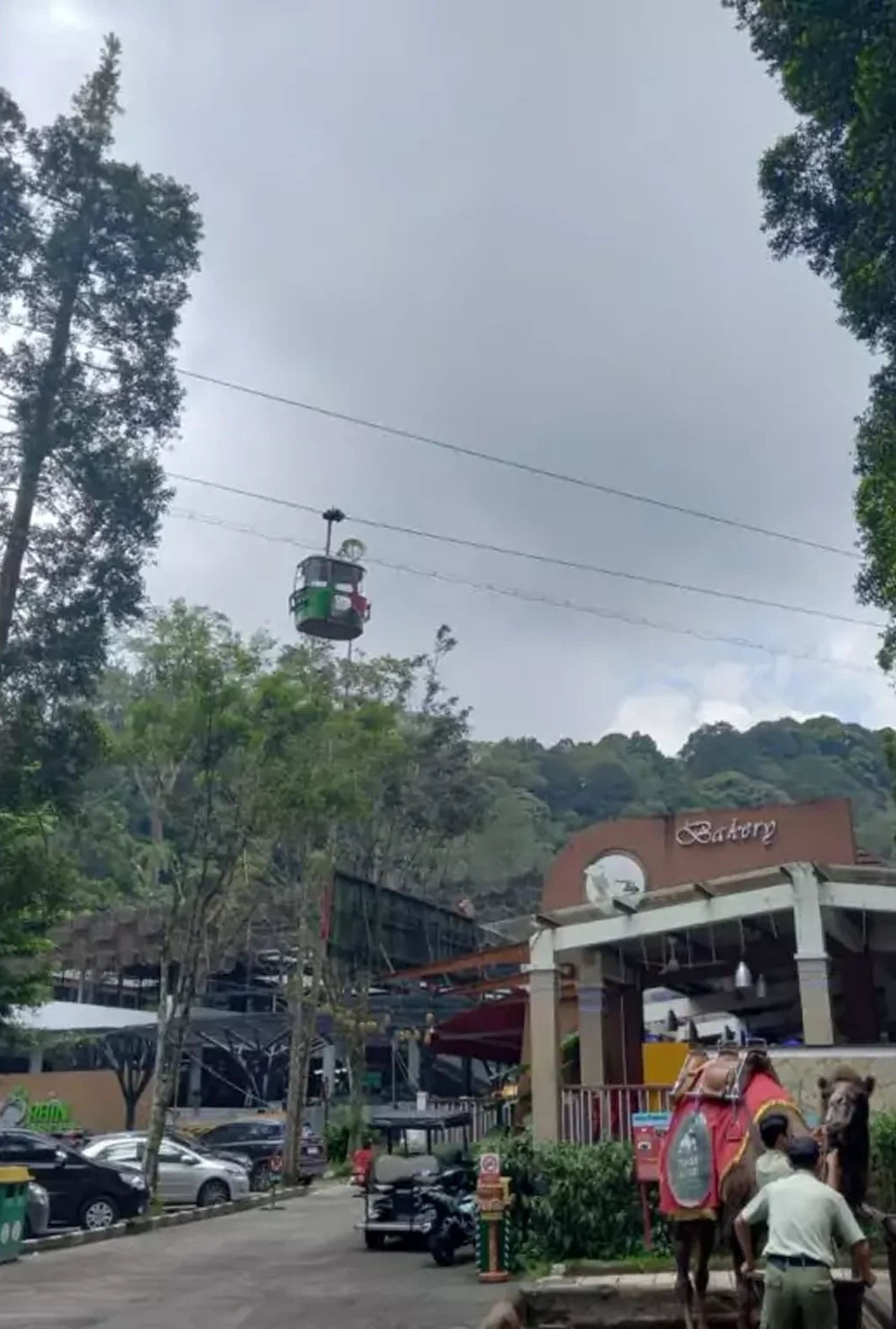 Taman Safari Bogor
